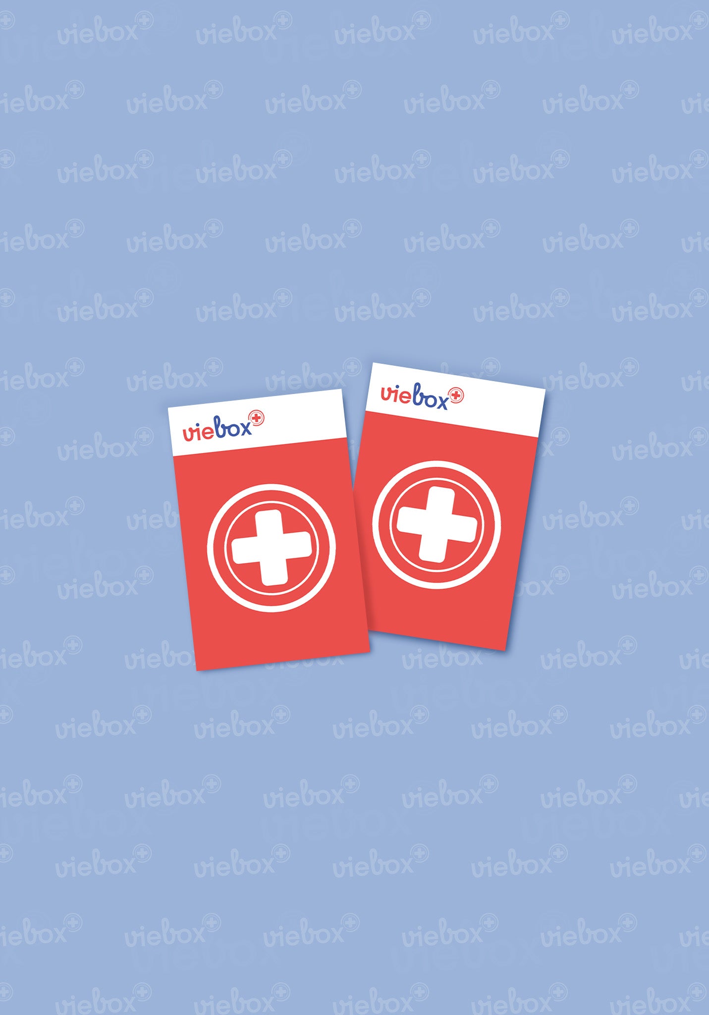 Pack de 2 Viebox pour protéger vos proches en centralisant les informations médicales essentielles et faciliter l’intervention des secours en cas d’urgence.
